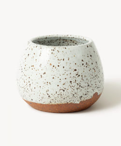 Mt.Washington Pottery Mini Plant