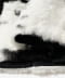 BLACK/WHITE