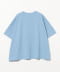 LIGHT. GRAY ISH_BLUE