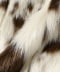 cocoa spots