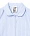Blue and White Stripes