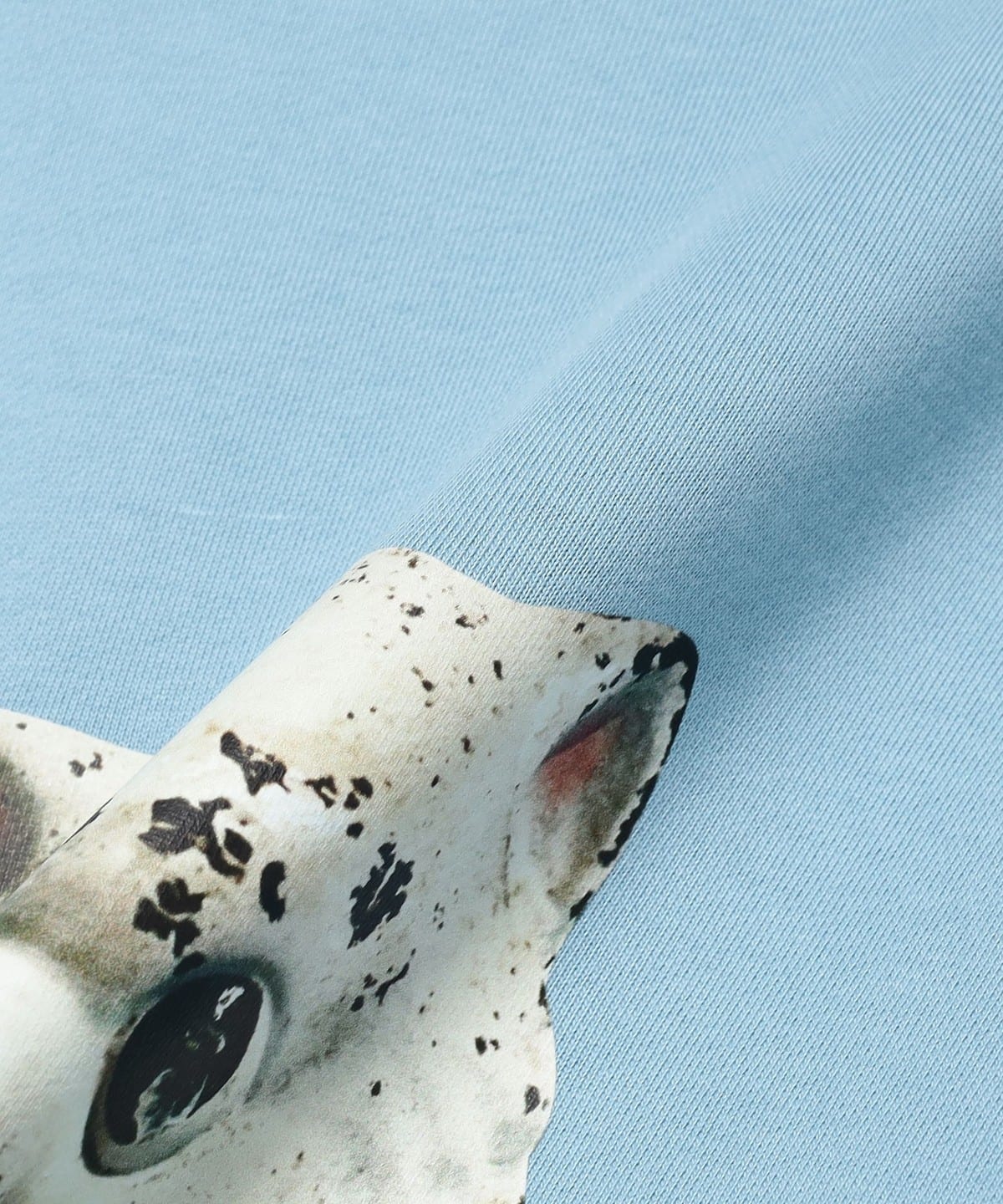 Ray BEAMS（レイ ビームス）YUHAN WANG / ceramic cat printed