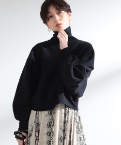 Champion × Ray BEAMS / 別注 リバースウィーブ タートル ドルマン