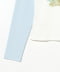 White/Blue