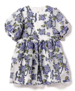 〇DREAM sister jane / Iris Organza Mini Dress