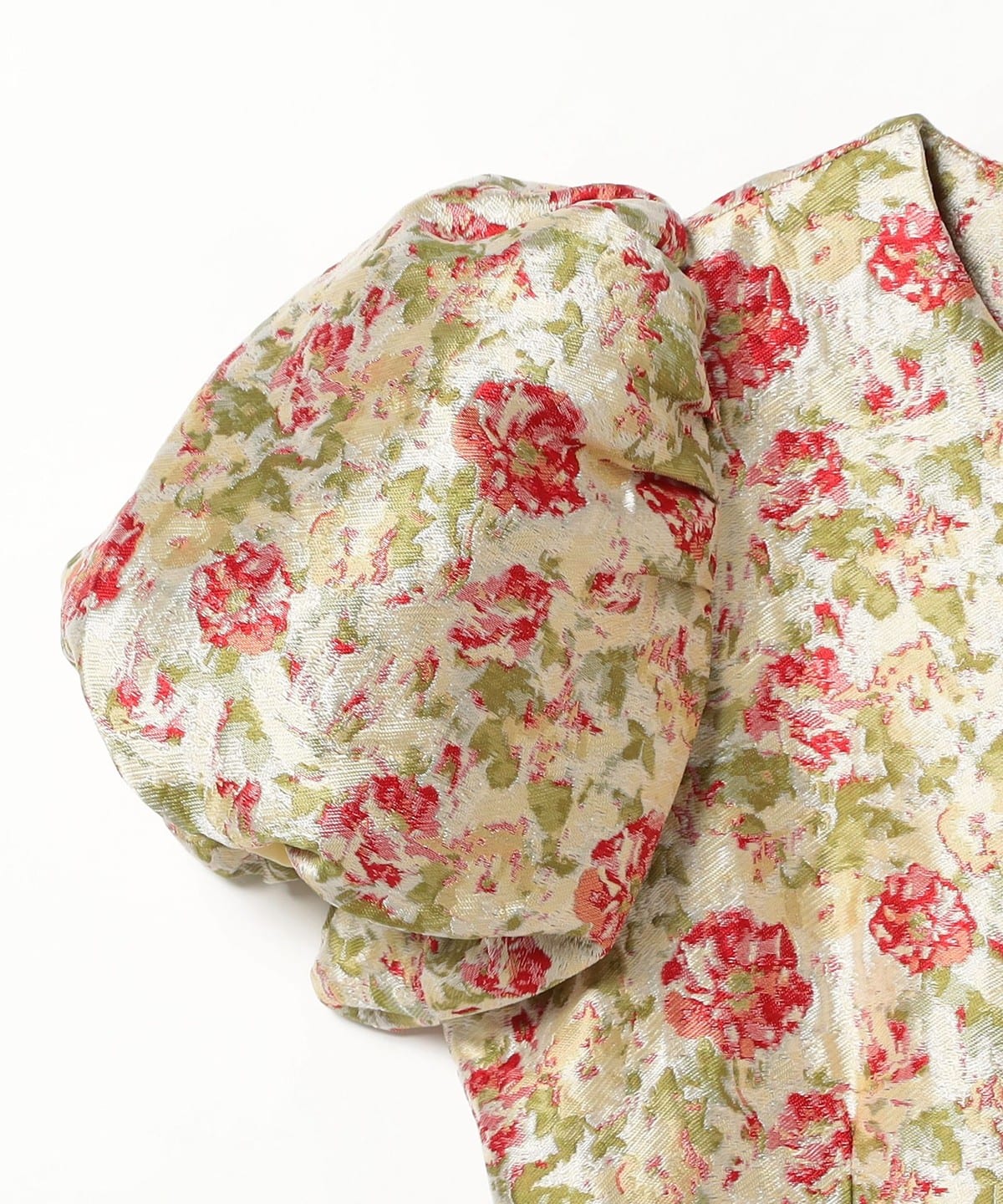 Ray BEAMS（レイ ビームス）DREAM sister jane / Forest Echo