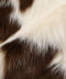 cocoa spots