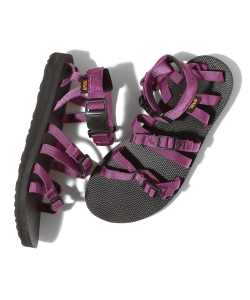 Teva / ALP