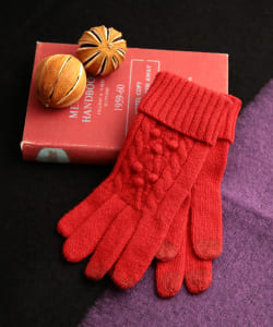 Ray BEAMS / 女裝 編織手套