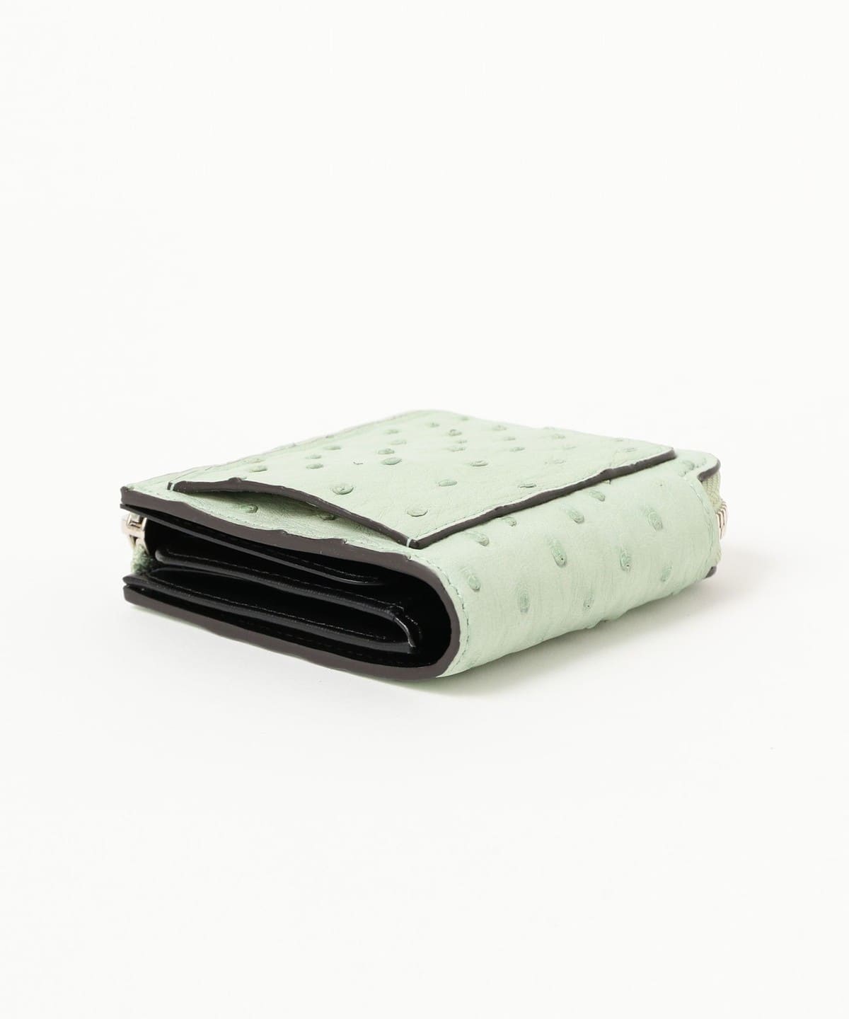 Ray BEAMS（レイ ビームス）ITTI / OSTRICH CRISTY VERY COMPACT 