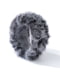 GREY LEOPARD