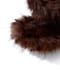 BROWN LEOPARD