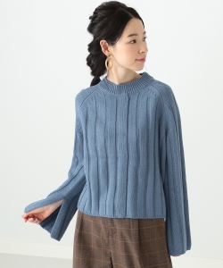 Ray BEAMS / スリットスリーブ クロップド クルーネック