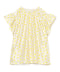 WHITE×YELLOW