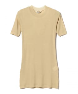 AURALEE / GIZA SUPPER HIGH GAUGE SHEER RIB TEE
