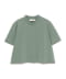 MOSS GREEN