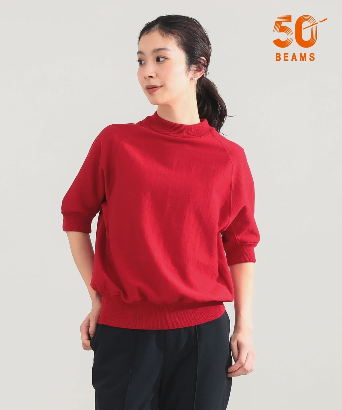 Demi-Luxe BEAMS（デミルクス ビームス）【6/25値下げ】AK+1 / モック