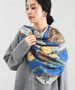 【WEB限定モアバリエーション開催中】manipuri / アンティーク レシピ ストール