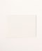 WHITE 90