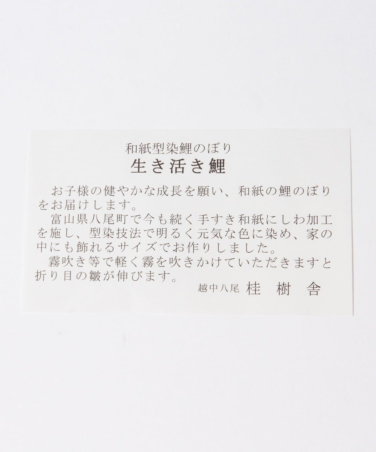 新作商品 桂樹舎 (大) 鯉のぼり / - インテリアアクセサリー - www.comisariatolosandes.com