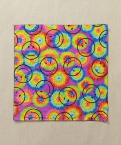 HAV-A-HANK / レトロ＆サウスウエスト バイオウォッシュ バンダナ