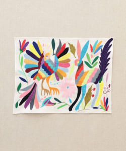 Diminutivo / OTOMI コットンクロス