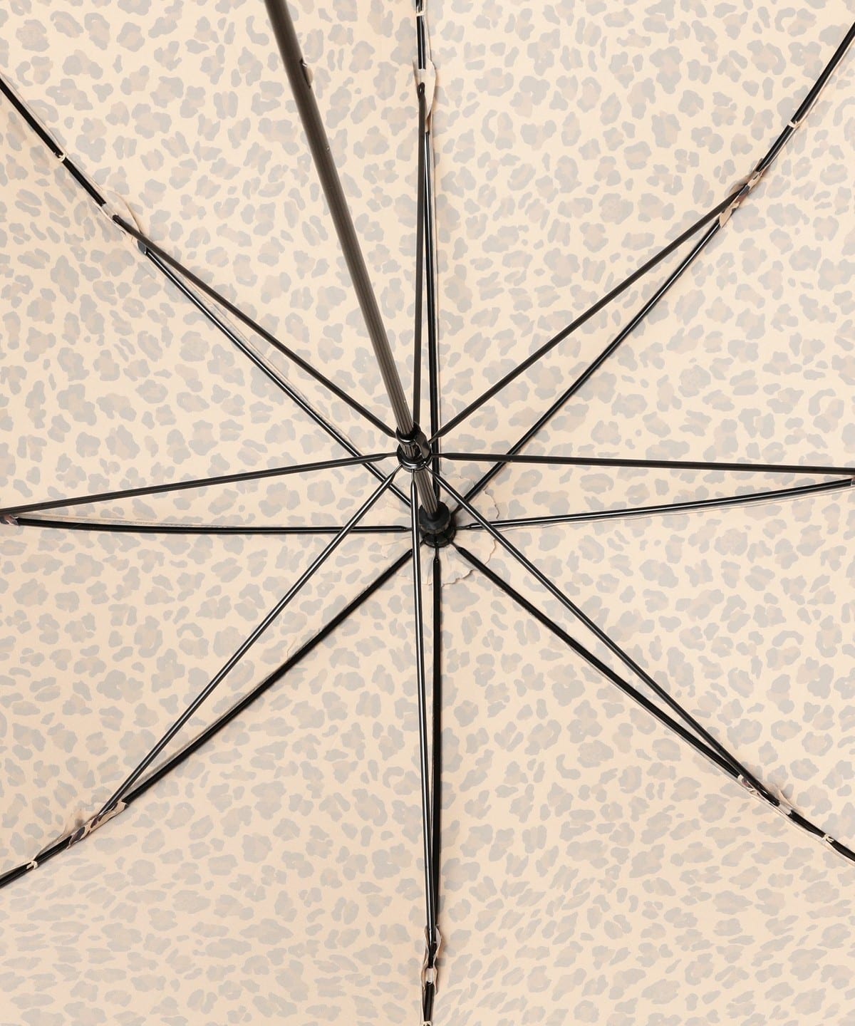 BEAMS Planets（ビームス プラネッツ）Bon Bon Store