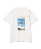 WHITE②