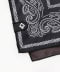Paisley/Black