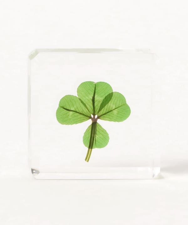 Yuichi Furuya @ B JIRUSHI MARKET / CARRE DE TREFLES CA SQUARE PLATE (S)