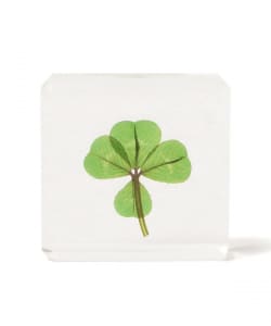 ふるやゆういち@B印MARKET / CARRE DE TREFLES CA SQUARE PLATE（S）