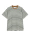 GRAY/GREEN