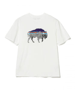 ▲patagonia / バック フォー グッド オーガニック Tシャツ