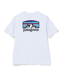 patagonia / フィッツロイ ホライゾンズ レスポンシビリティー Tシャツ