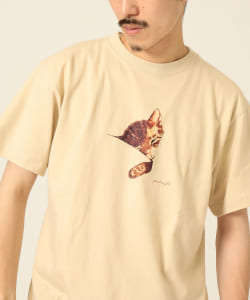 【SPECIAL PRICE】BEAMS T / グッド ナイト Tシャツ