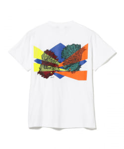 HIROTTON × BEAMS T / BETA FISH Tシャツ