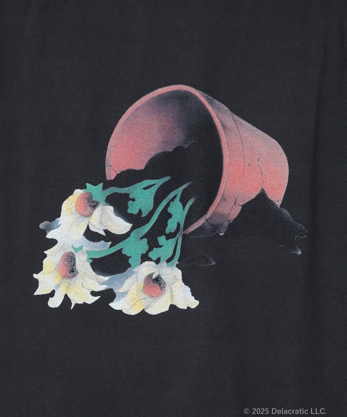 BEAMS（ビームス）【別注】GOOD ROCK SPEED / DELASOUL IS DEAD