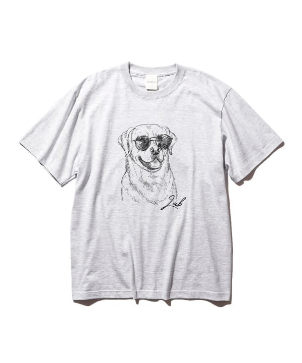 BEAMS(ビームス)fLAnsisCA / Print Tshirt 25SS ⑥(Tシャツ BEAMS(ビームス)fLAnsisCA / Print Tshirt 25SS ⑥(Tシャツ