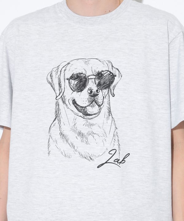 BEAMS（ビームス）fLAnsisCA / Print Tshirt 25SS ⑥（Tシャツ