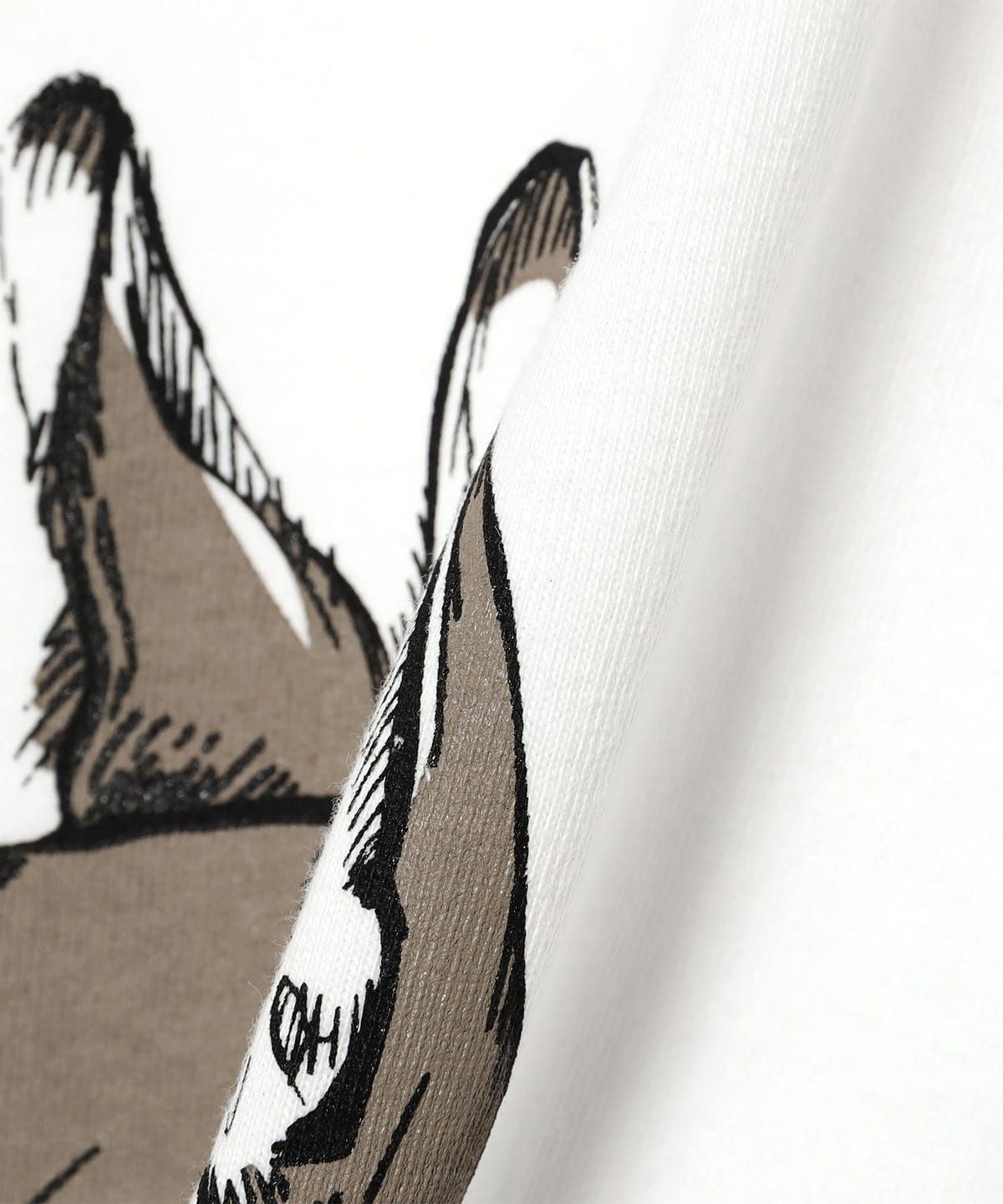 BEAMS（ビームス）fLAnsisCA / Print Tshirt 25SS ⑧（Tシャツ
