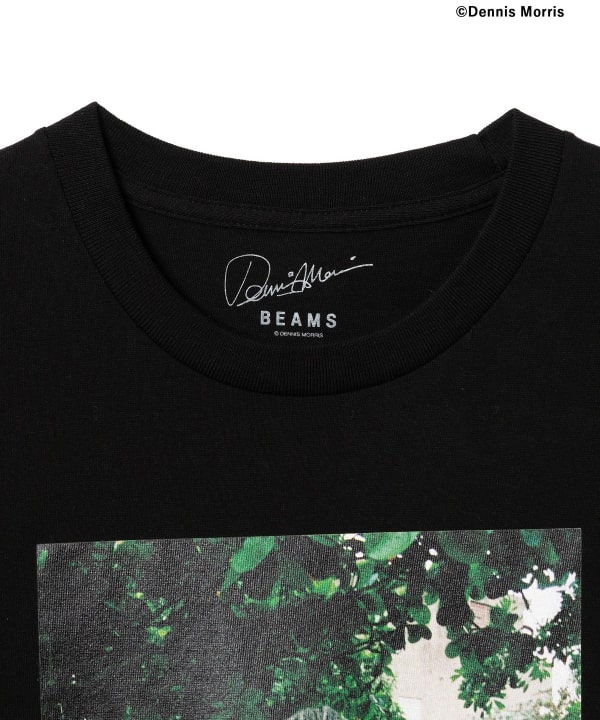 BEAMS（ビームス）【別注】Dennis Morris / MAX ROMEO T-shirt
