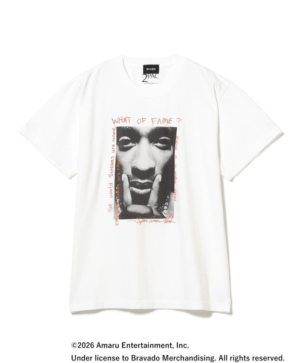 BEAMS（ビームス）【別注】GOOD ROCK SPEED / TUPAC T-shirt①（T