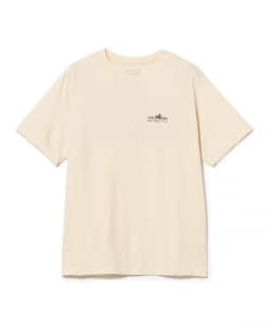 patagonia / Fitz Roy Foothills T-Shirt