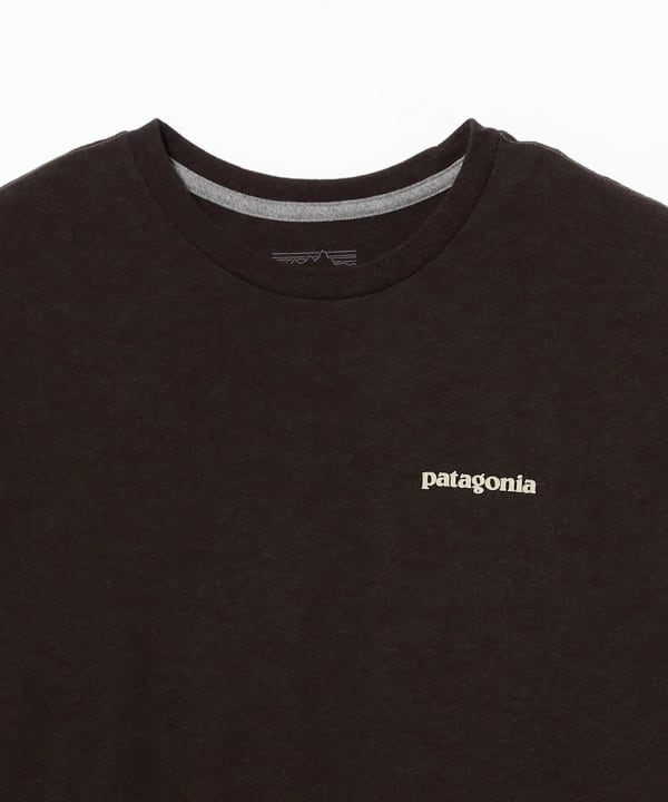 patagonia / Long-Sleeved Flying Fish Responsibili T-Shirt