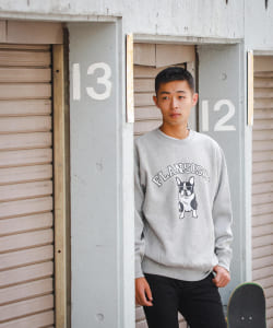 ▲fLAnsisCA / Print Sweat Crewneck 22AW