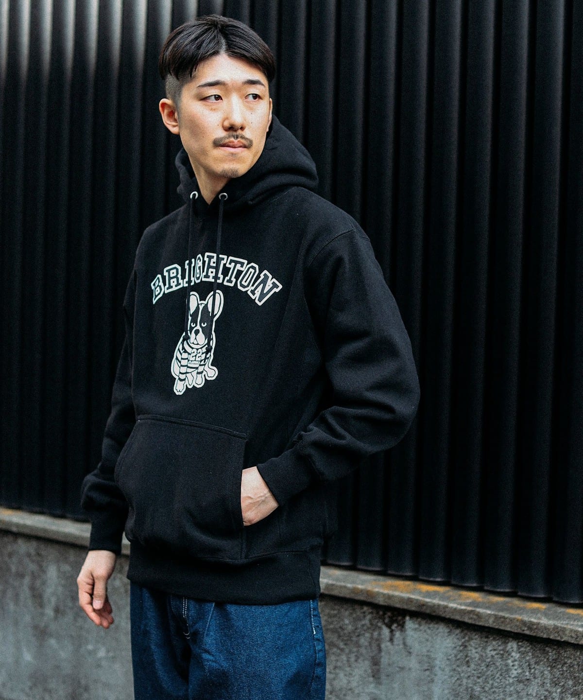 BEAMS（ビームス）fLAnsisCA / Print Sweat Hoodie 23AW（トップス