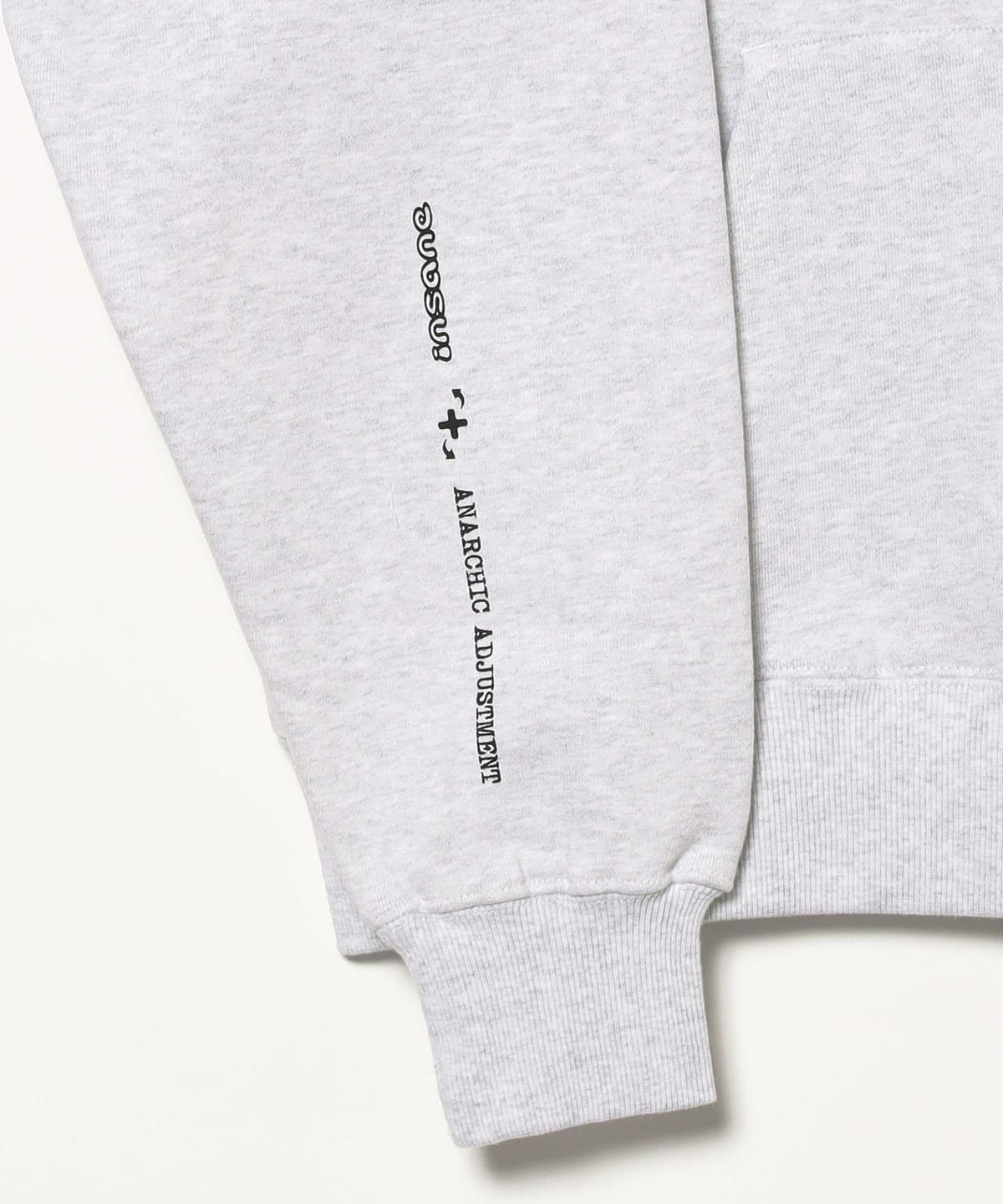 BEAMS T（ビームスT）insane × ANARCHIC ADJUSTMENT / Hoodie