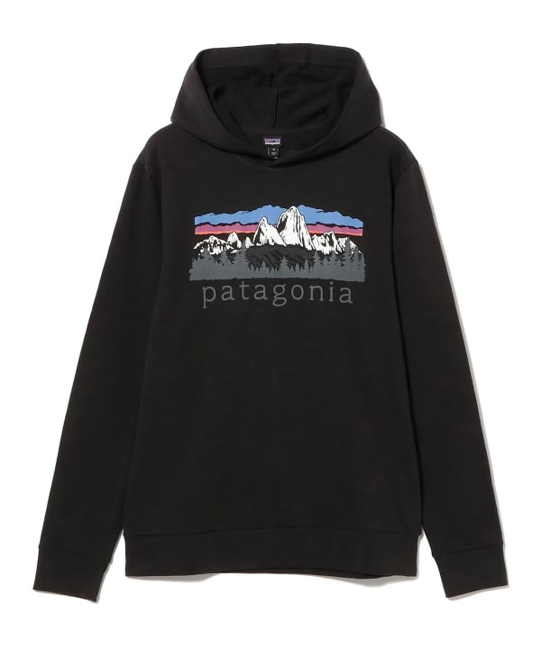 patagonia / Fitz Roy Foothills Daily Hoodie