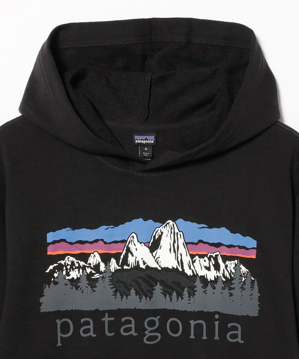 patagonia / Fitz Roy Foothills Daily Hoodie