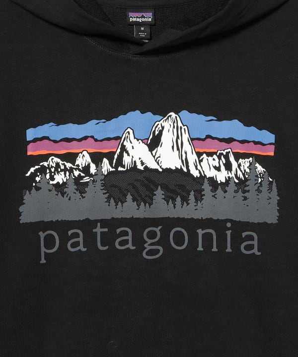 patagonia / Fitz Roy Foothills Daily Hoodie